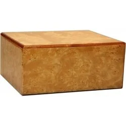 Guy Janot Burl-humidori 50, kiiltävä