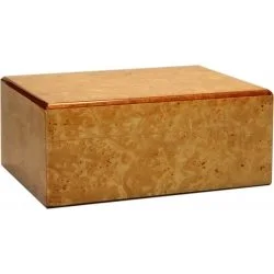Guy Janot Root-humidori 35, kiiltävä