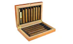 Adorini matkahumidori Cedro kuva 11