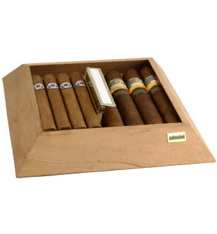 Tarjotin Adorini Humidori Pyramid M deluxe varten kuva 7