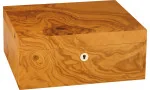 adorini Humidor Salento Oilve Burl Wood Medium Deluxe