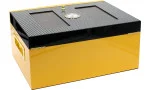 Cohiba Humidor Global Brand 30-60 sikaria